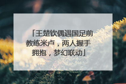 王楚钦偶遇国足前教练米卢，两人握手拥抱，梦幻联动